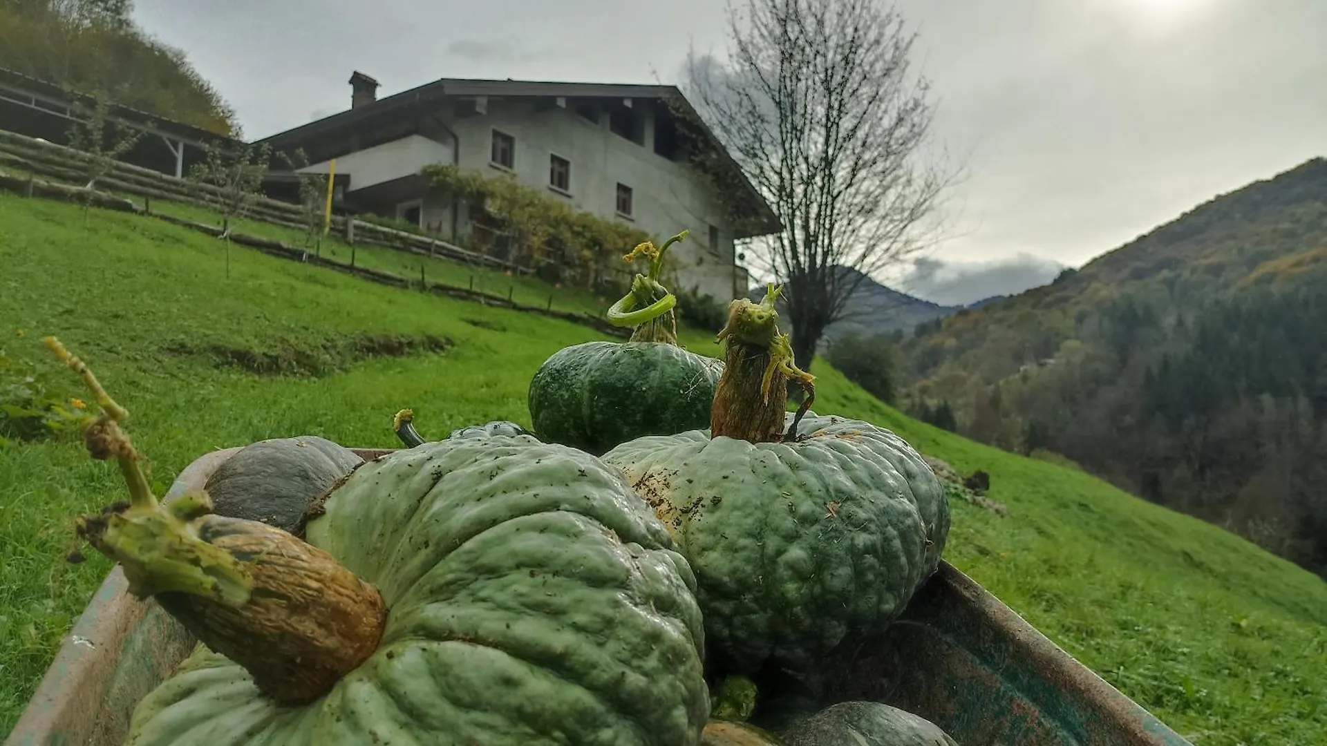 Agriturismo Cascina Cornella Cremeno